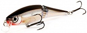 Воблер Rapala BX Swimmer BXS-12 #S Silver