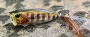 Воблер DUO Realis Popper 64 #ADA3058